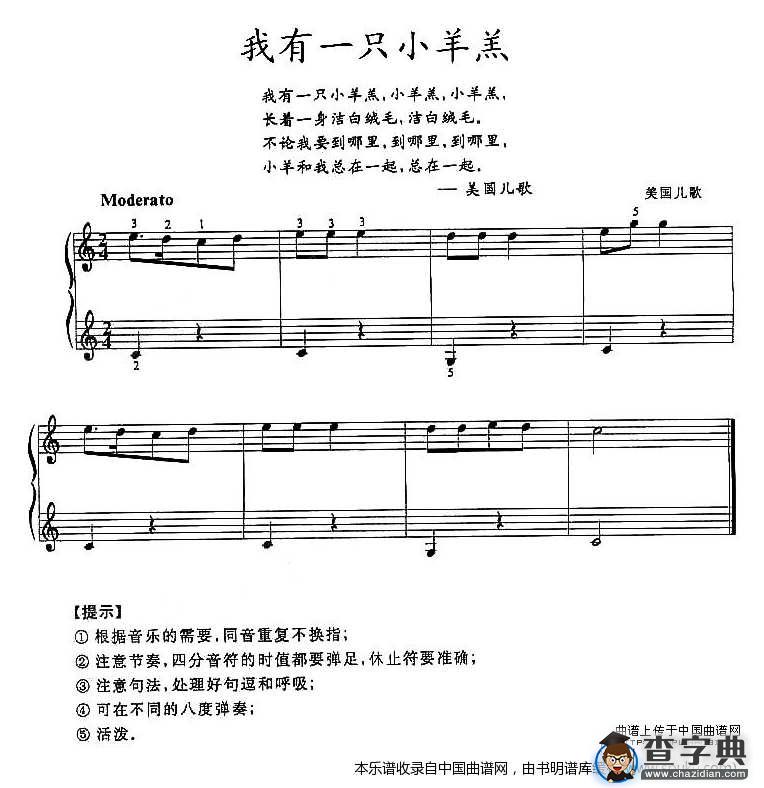 我有一只小羊羔