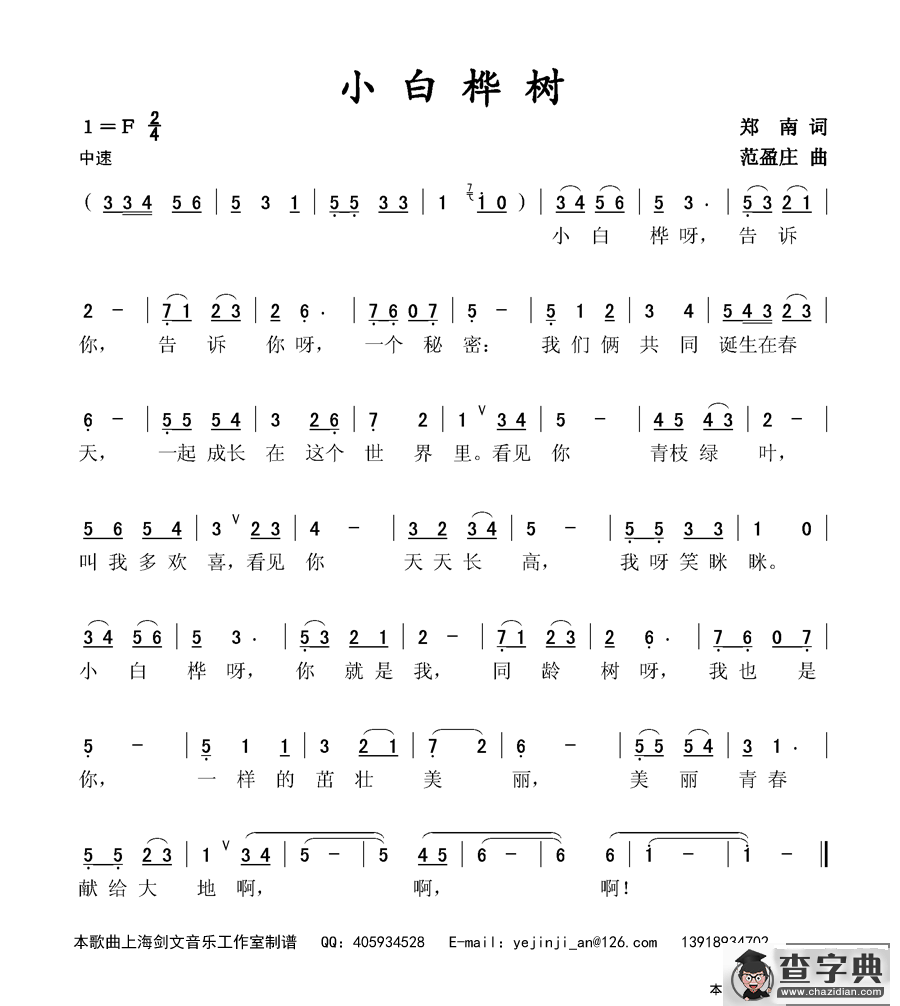 小白桦树