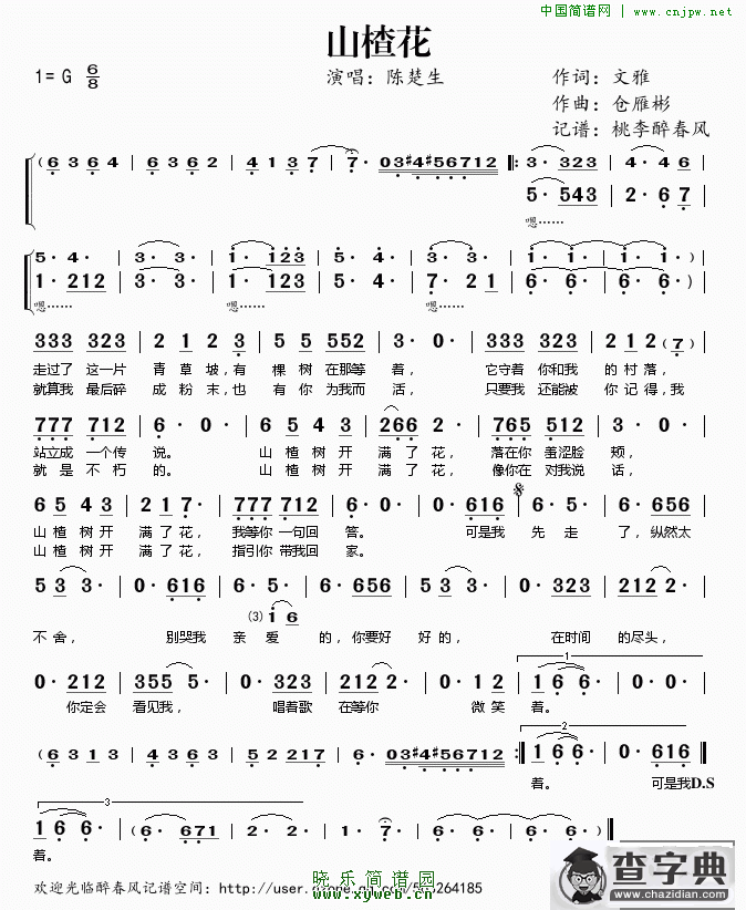 山楂花