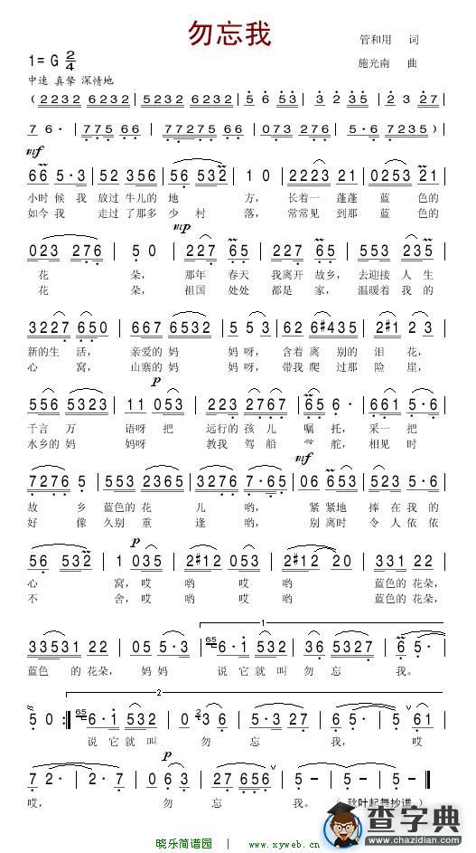 勿忘我