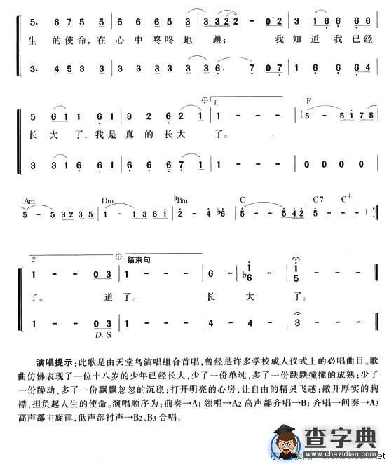 我听见时光的声音（组合演唱）