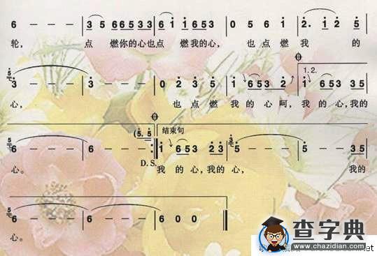 花一样的岁月花一样的年轮