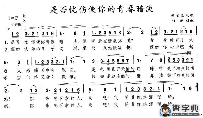 是否忧伤使你的青春暗淡[爱尔兰]