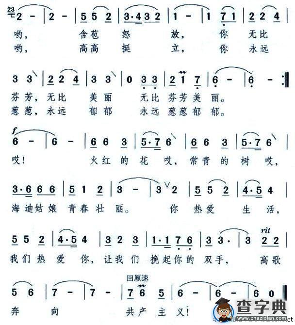 火红的花，常青的树