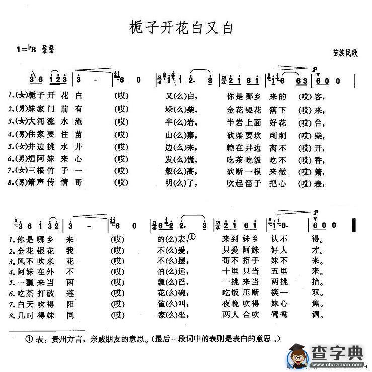 栀子开花白又白