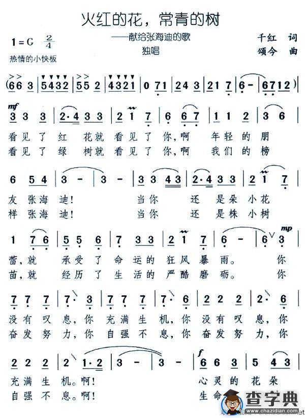 火红的花，常青的树