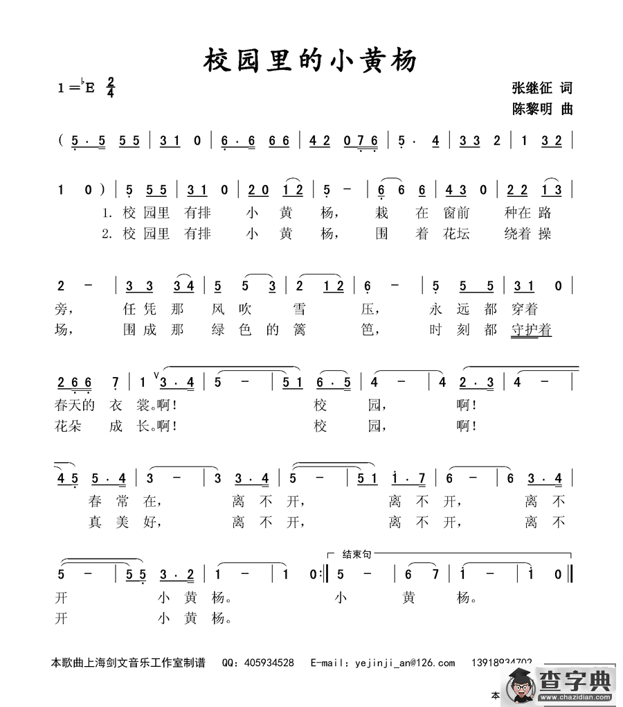 校园里的小黄杨
