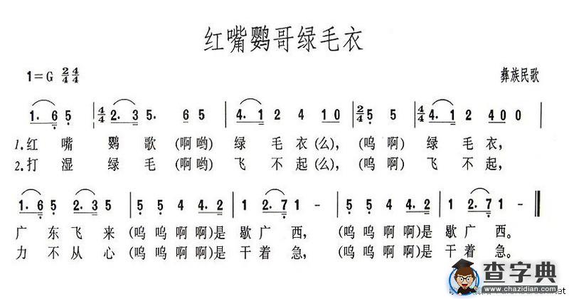 红嘴鹦哥绿毛衣