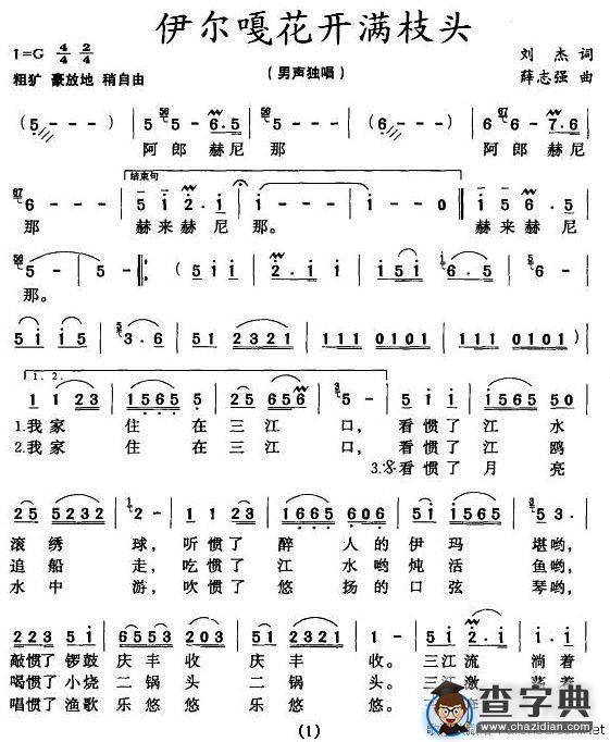 伊尔嘎花开满枝头