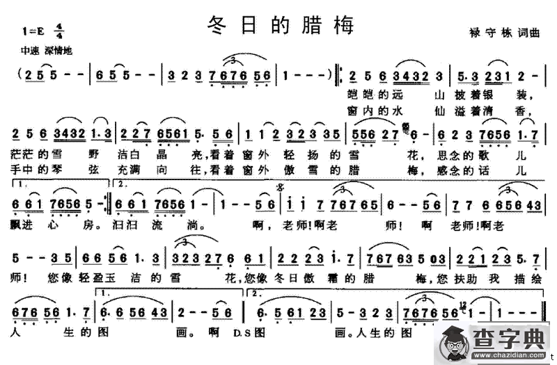 冬日的腊梅