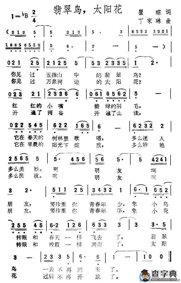 翡翠鸟，太阳花