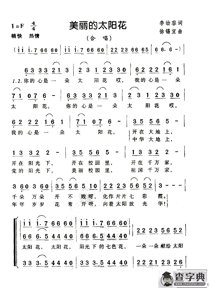 美丽的太阳花