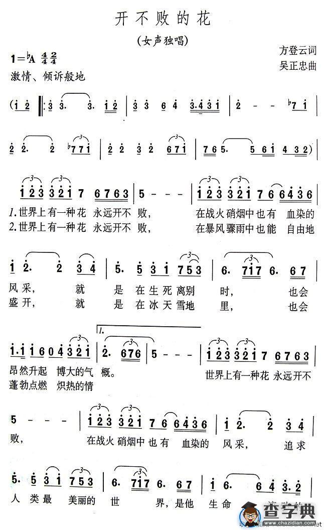 开不败的花
