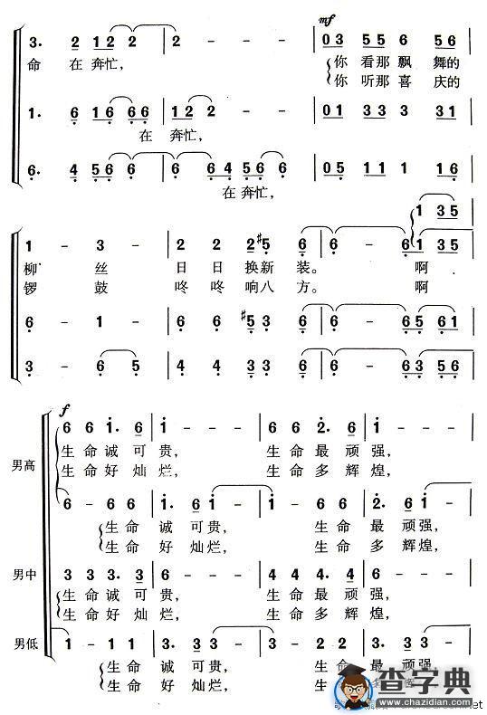 生命在奔忙