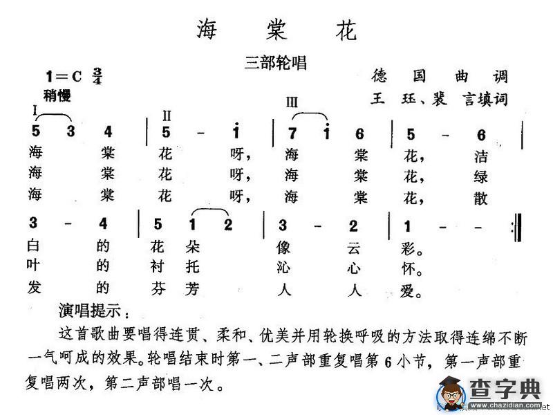 海棠花