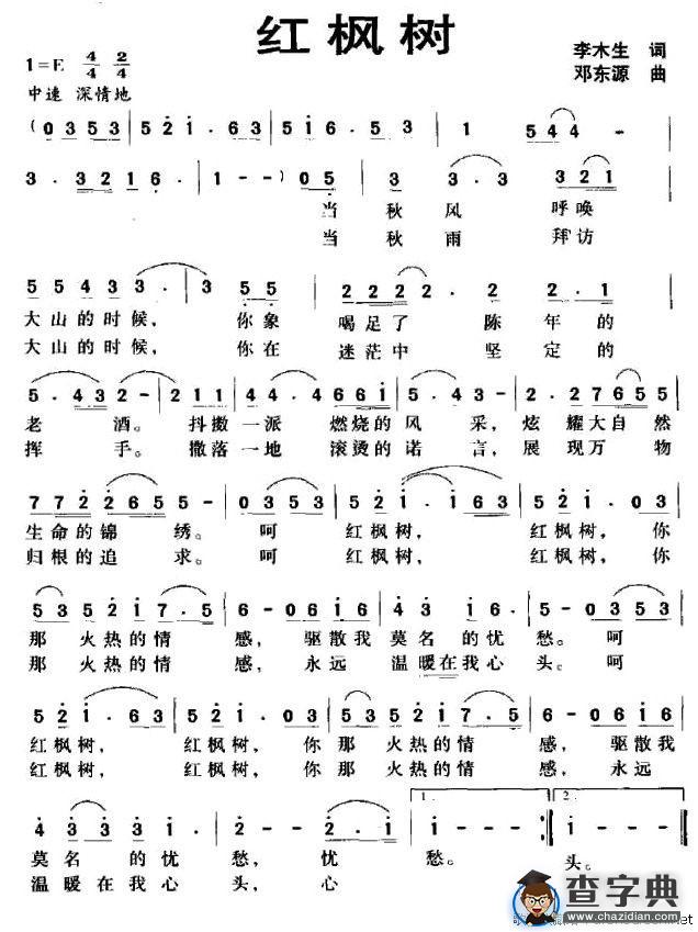 红枫树