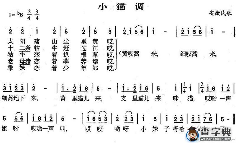 小猫调
