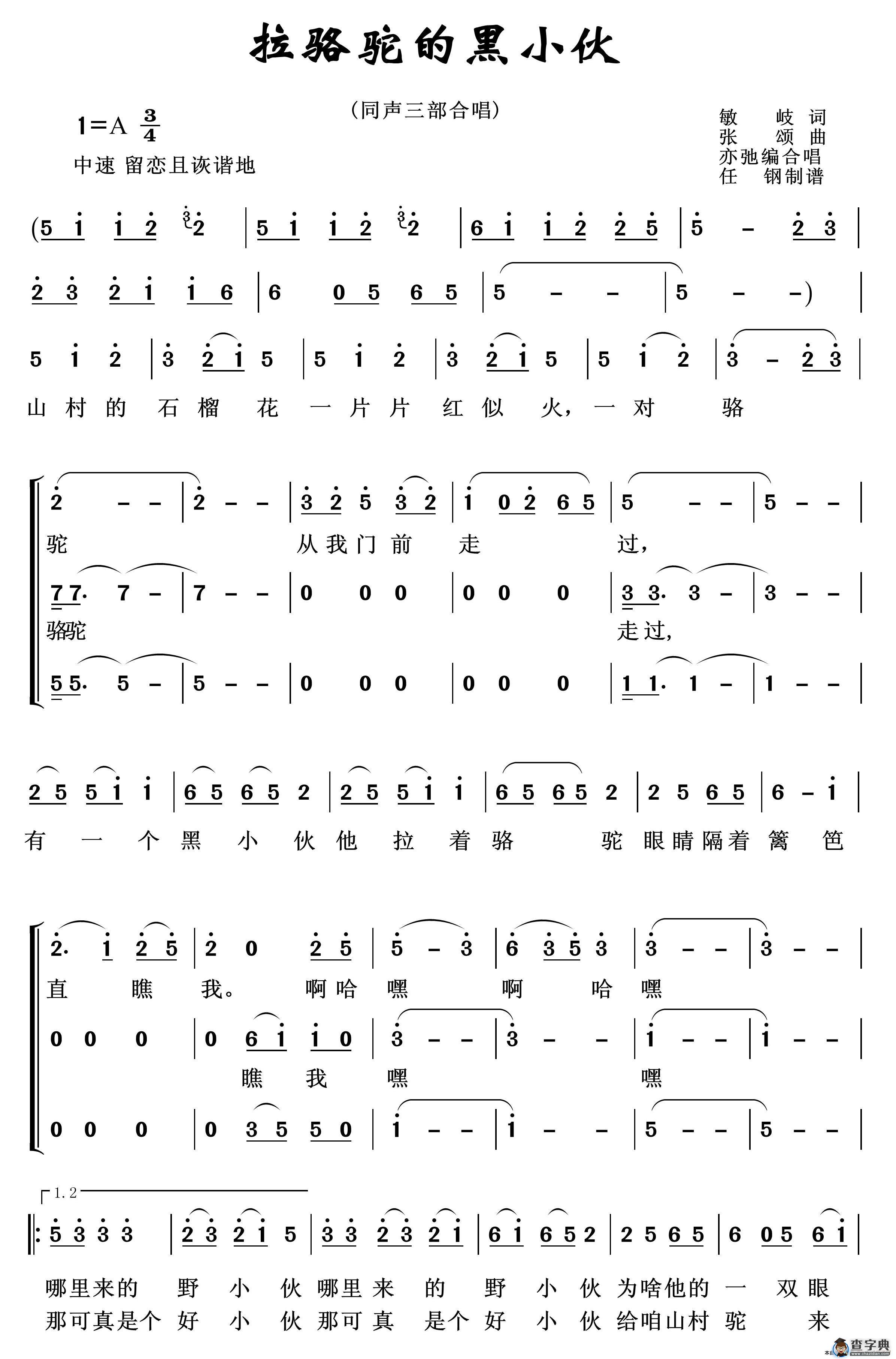 拉骆驼的黑小伙（同声三部合唱）