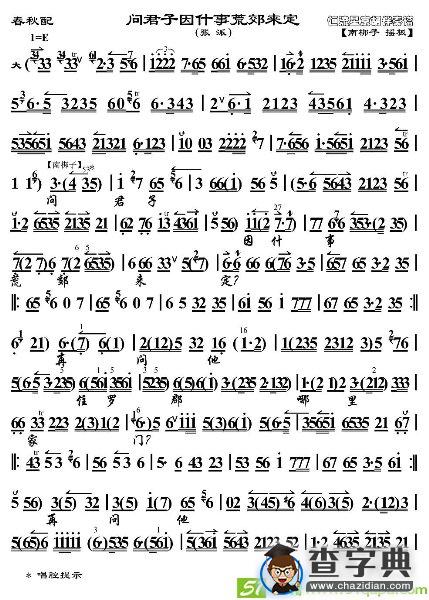 问君子因什事荒郊来定