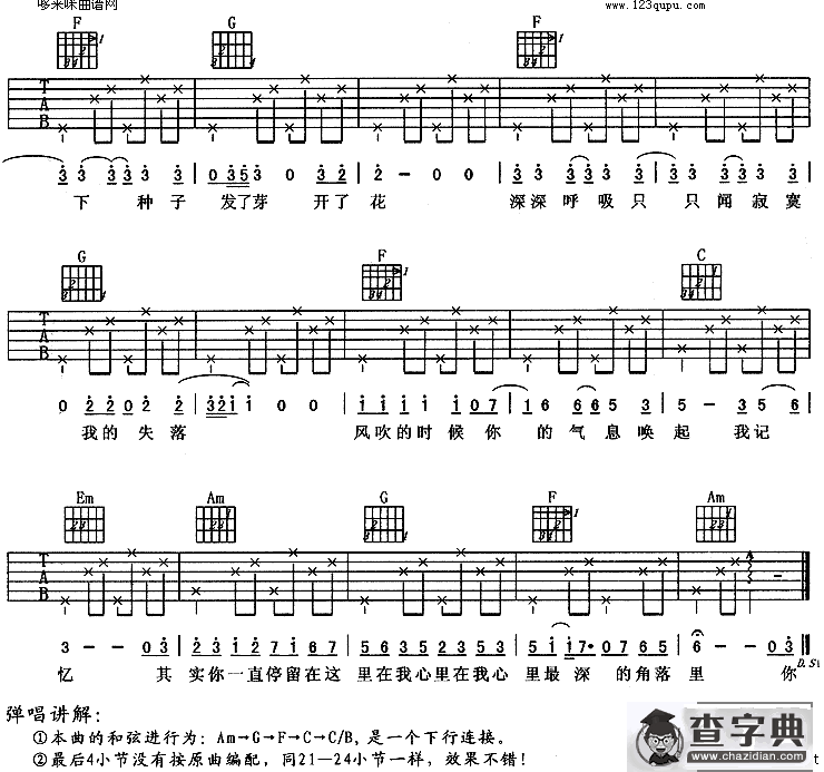 种子(羽泉)