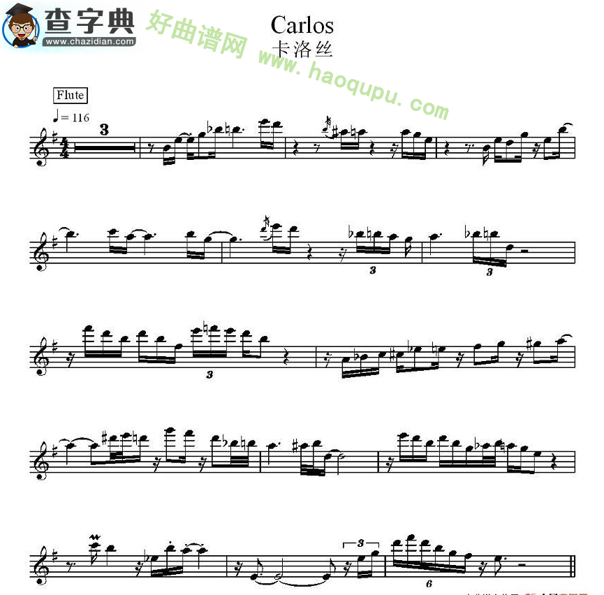 《卡洛丝》