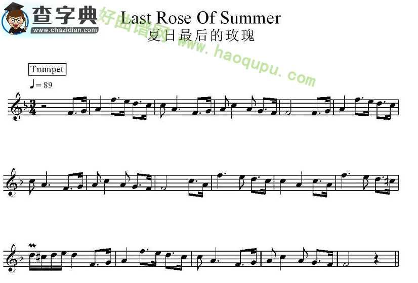 《夏日最后的玫瑰》