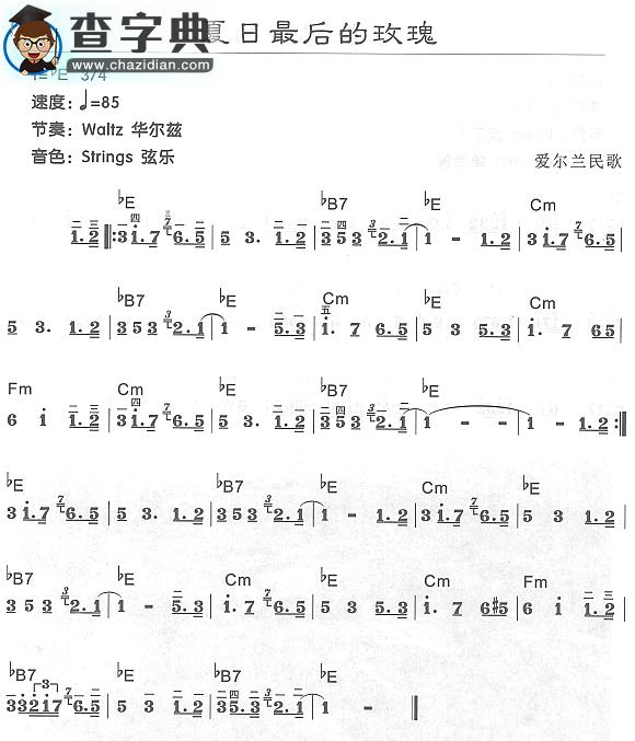 夏日最后的玫瑰