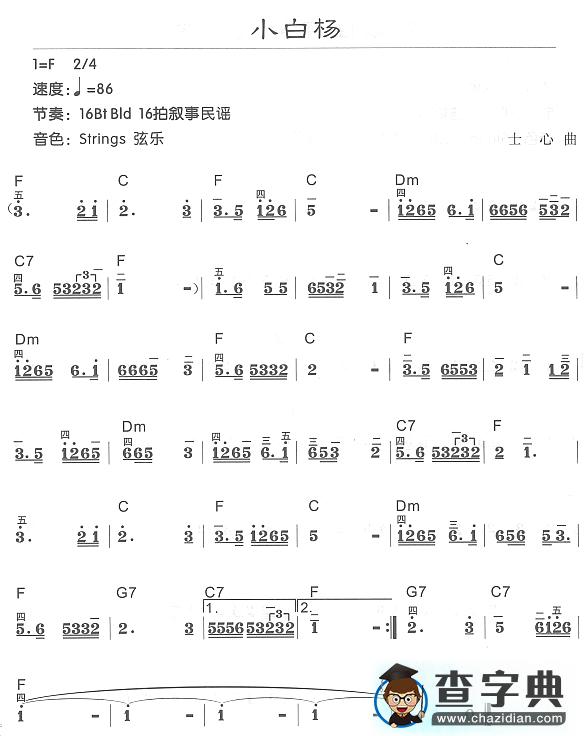 小白杨