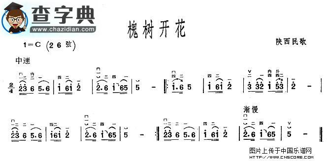 槐树开花二胡谱