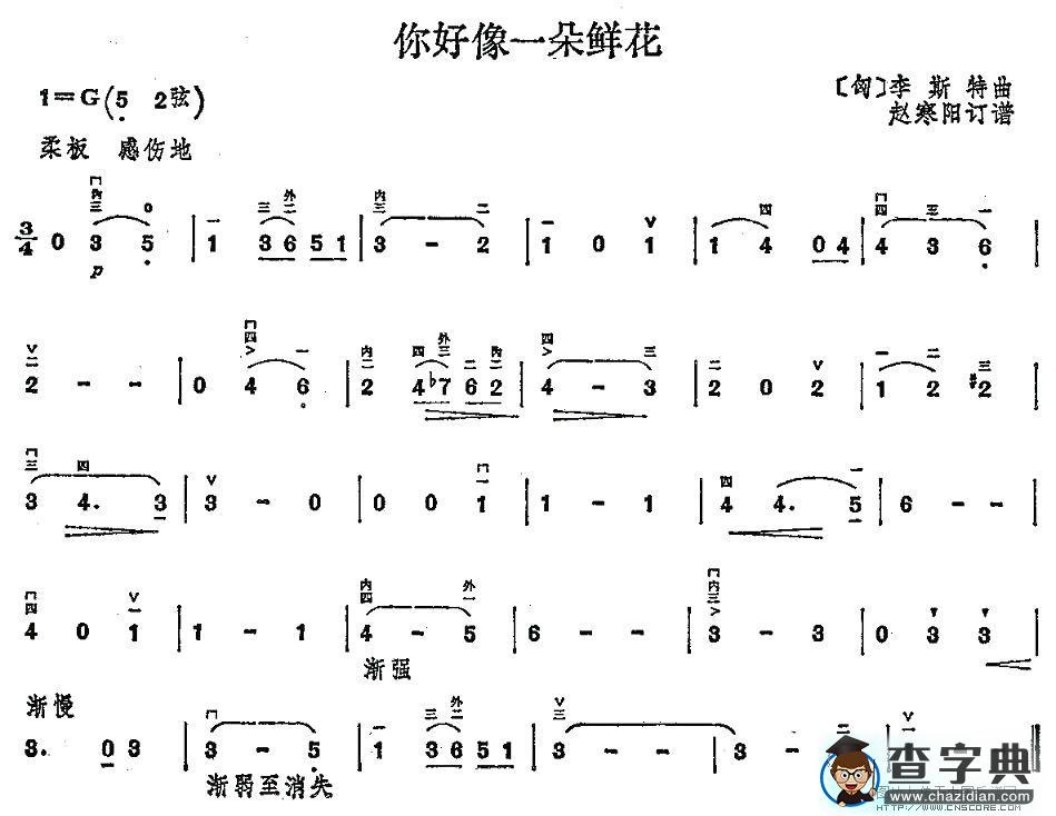 你好像一朵鲜花二胡谱