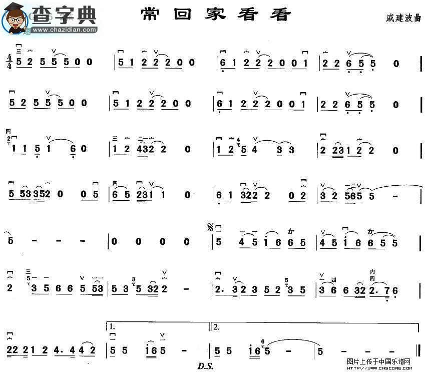 常回家看看二胡谱