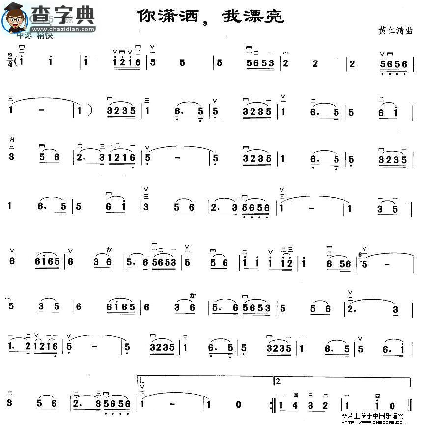 你潇洒，我漂亮二胡谱