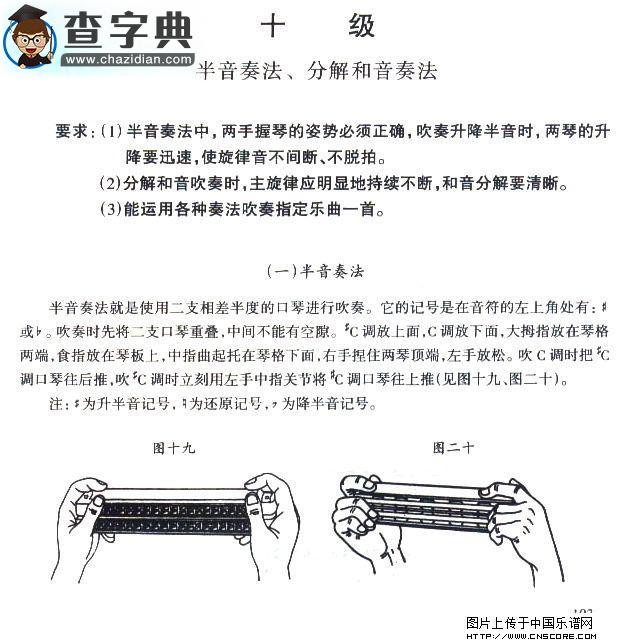 考级十级曲目：小步舞曲口琴谱