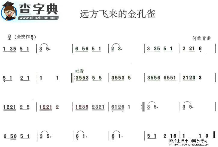 远方飞来的金孔雀