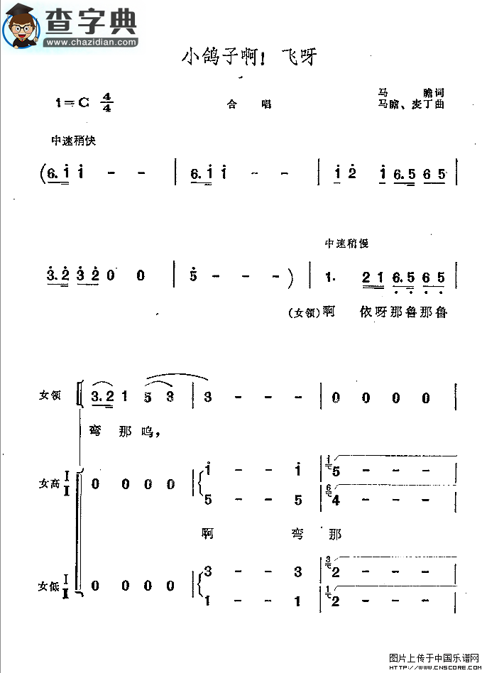 小鸽子啊！飞呀合唱谱