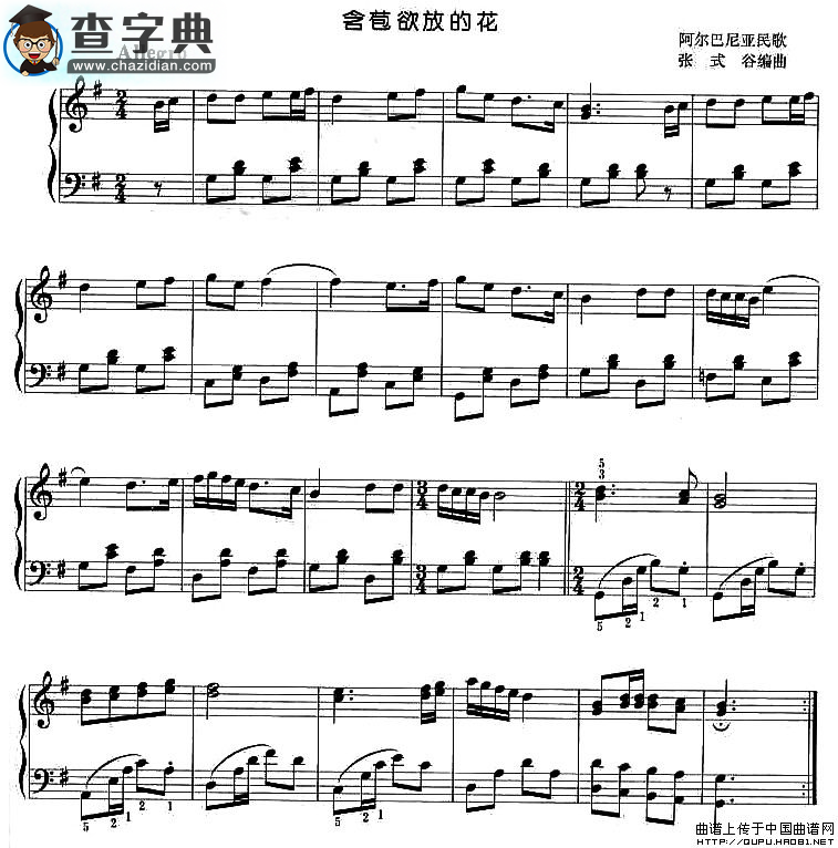 含苞欲放的花钢琴谱