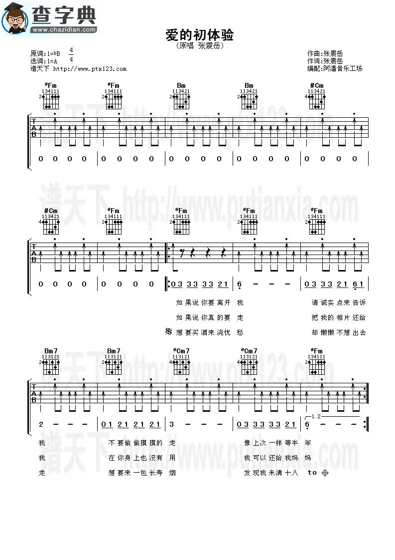 爱的初体验吉他谱_张震岳爱的初体验吉他曲谱