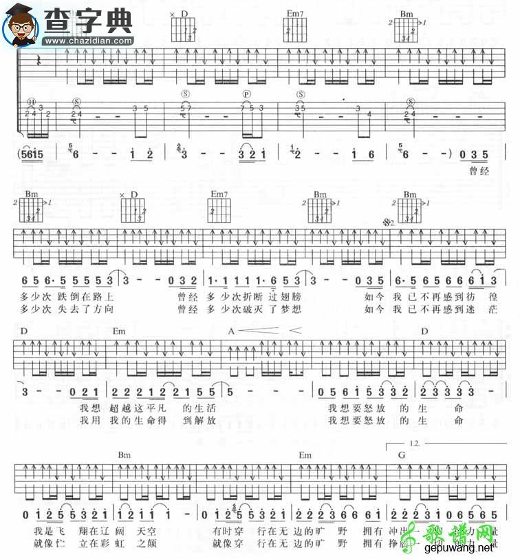 怒放的生命吉他谱_汪峰怒放的生命吉他曲谱