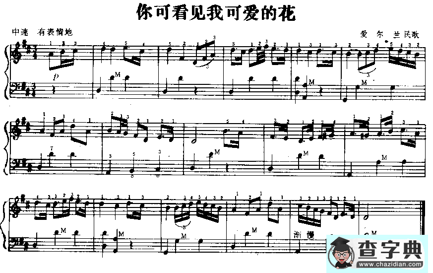 你可看见我可爱的花（爱尔兰民歌）手风琴谱/简谱