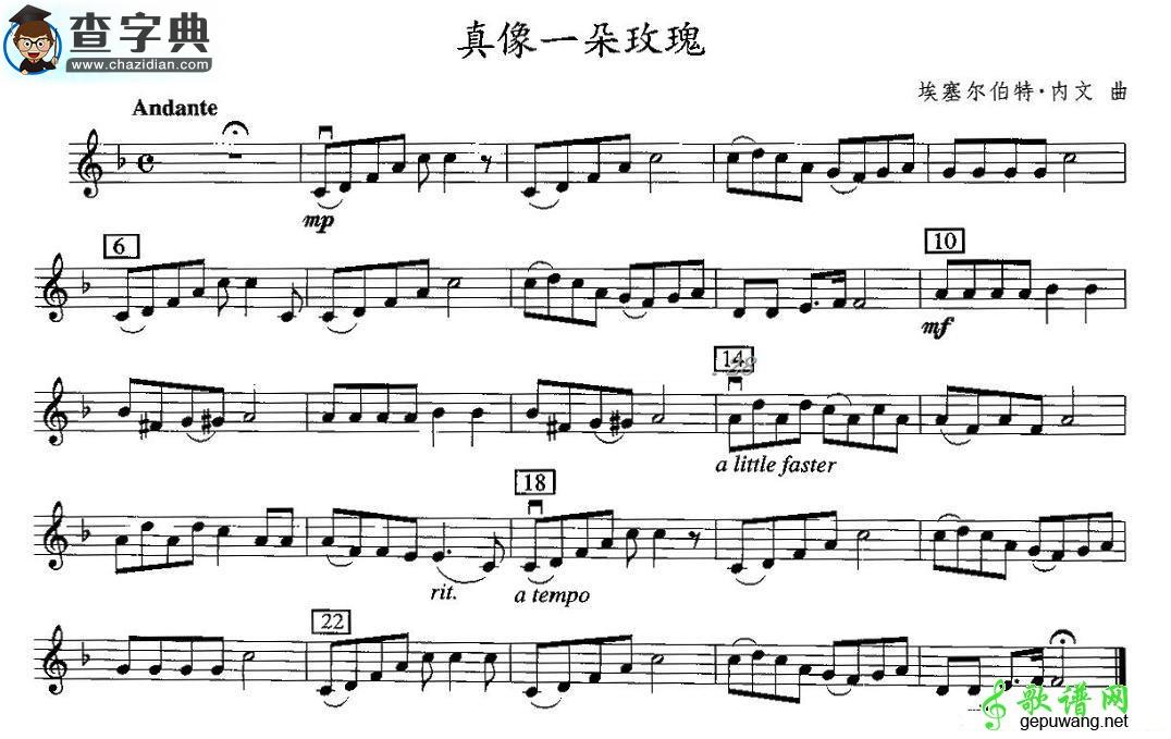 真像一朵玫瑰小提琴谱