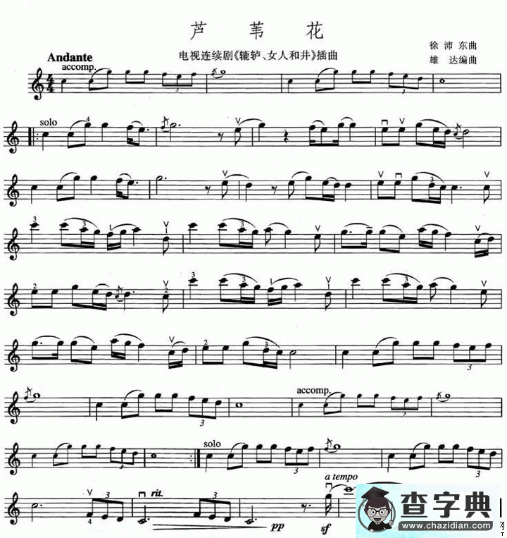 芦苇花小提琴谱