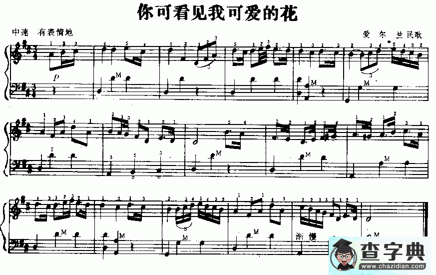 你可看见我可爱的花手风琴谱