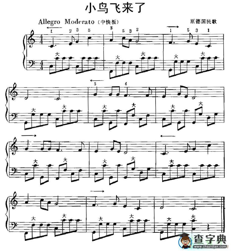 小鸟飞来了手风琴谱