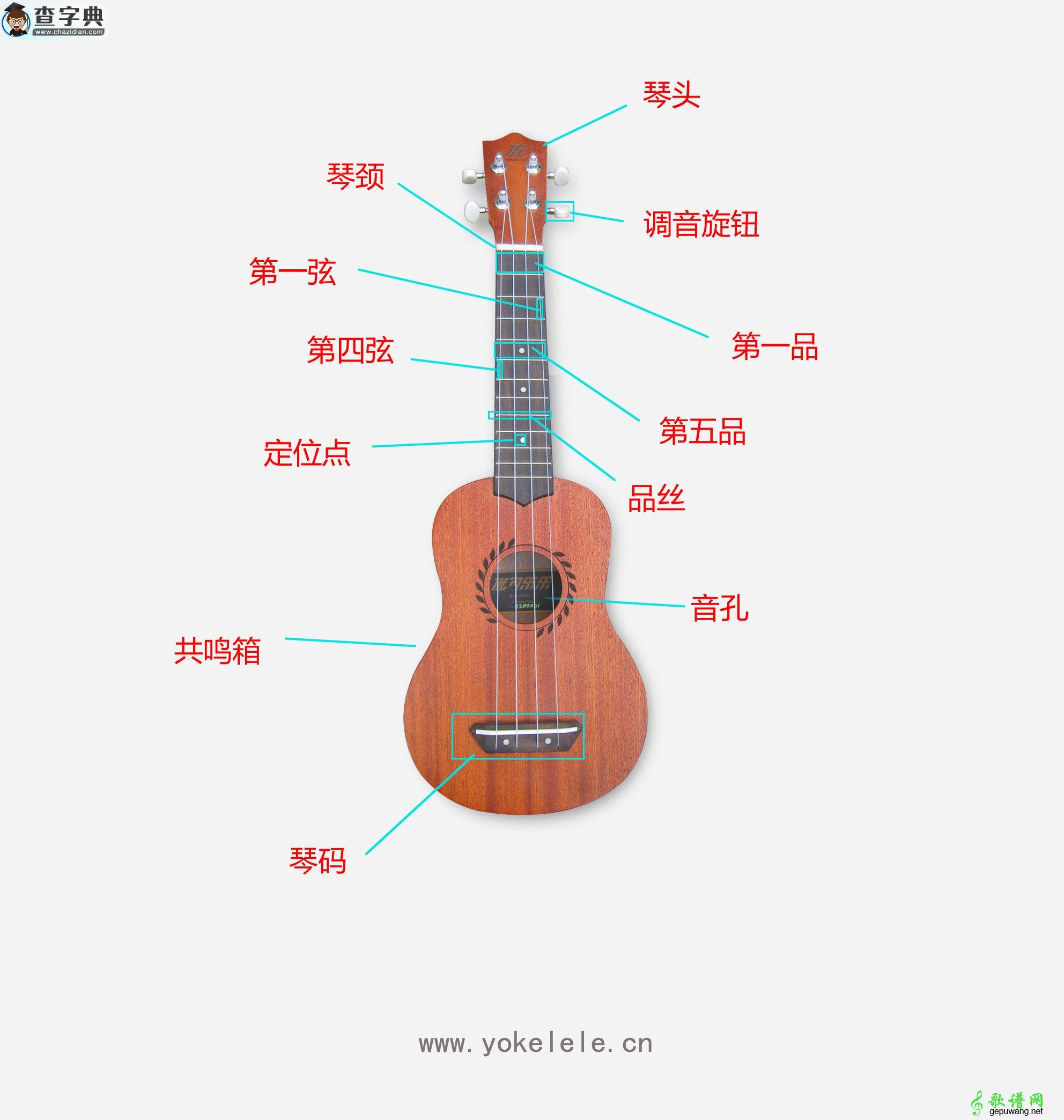 Ukulele 结构介绍 Ukulele 结构图解析