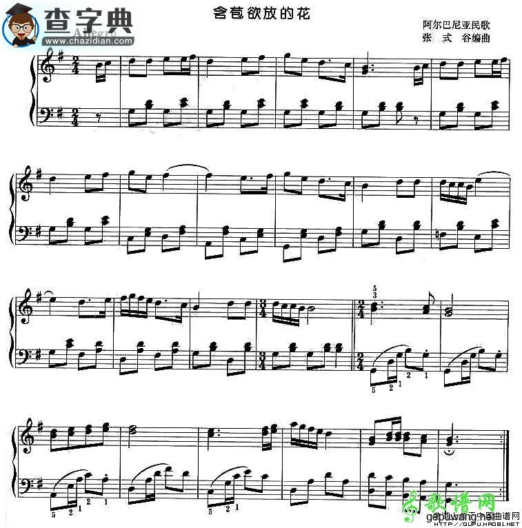 含苞欲放的花钢琴谱五线谱