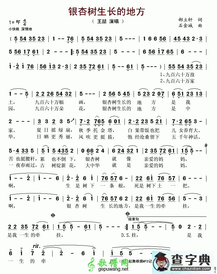 银杏树生长的地方简谱