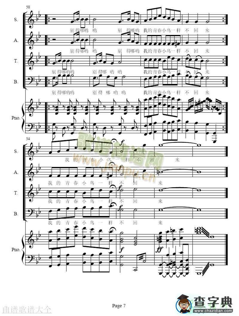 青春舞曲简谱_青春舞曲曲谱下载