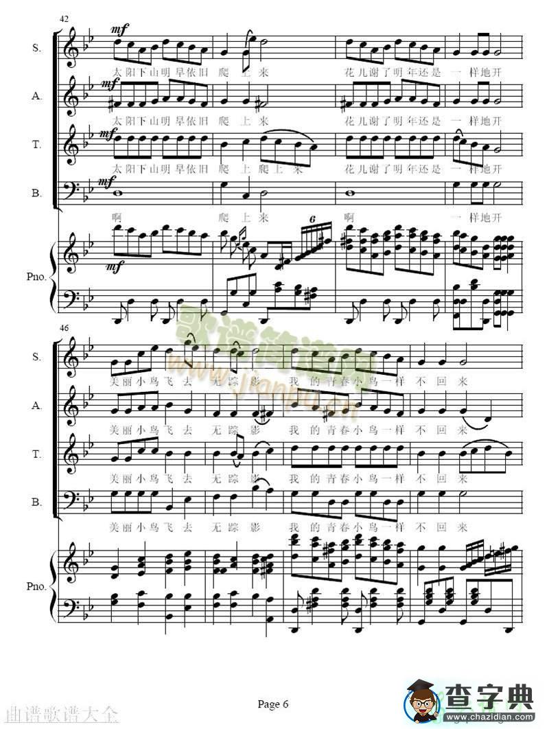 青春舞曲简谱_青春舞曲曲谱下载