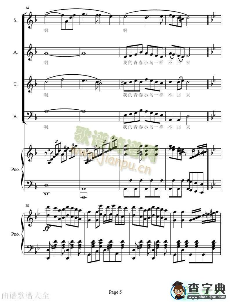 青春舞曲简谱_青春舞曲曲谱下载