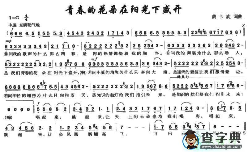 青春的花朵在阳光下盛开简谱